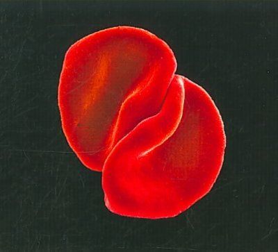 Scratch My Back - (Import CD)