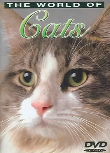 Understanding Your Cat - (Region 1 Import DVD)