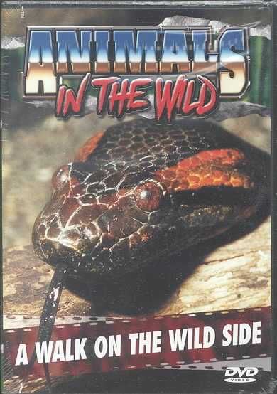 Walk on the Wild Side - (Region 1 Import DVD)