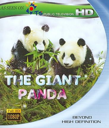 Giant Panda - (Region A Import Blu-ray Disc)