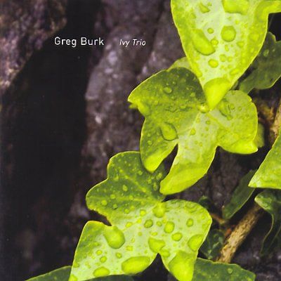 Ivy Trio - (Import CD)