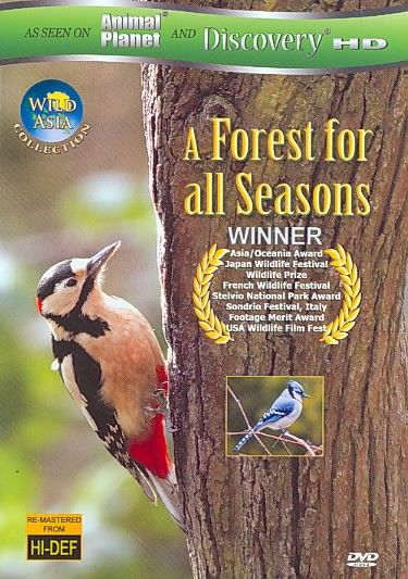 Wild Asia:Forest for All Seasons - (Region 1 Import DVD)