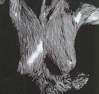 Self Preserved While the Bodies Float - (Import CD)