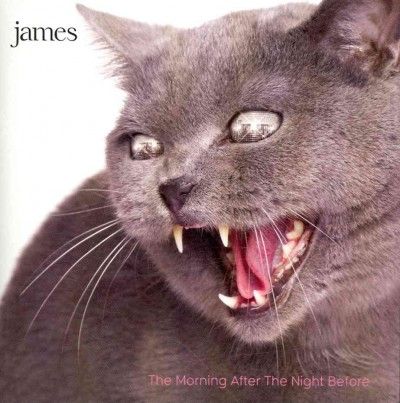 Morning After the Night Before - (Import CD)