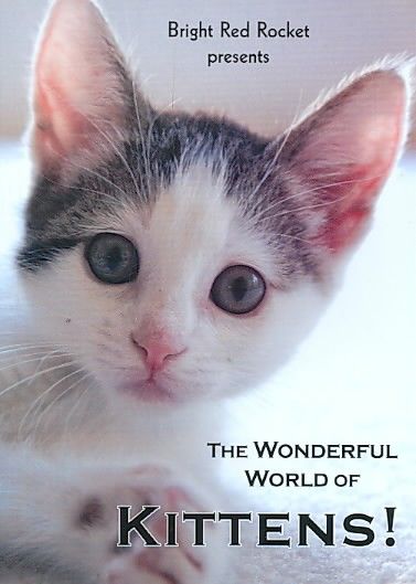 Wonderful World of Kittens - (Region 1 Import DVD)