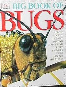 a big book of bugs