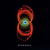 Pearl Jam - Binaural (CD)