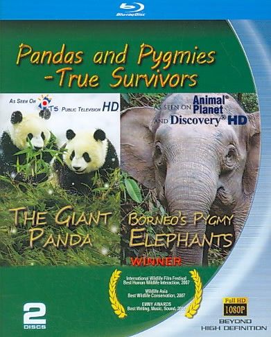 Pandas and Pygmies:True Survivors - (Region A Import Blu-ray Disc)