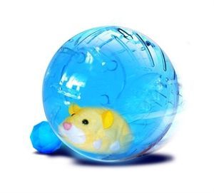 Zhu Zhu Pets - Accessories - Add On's