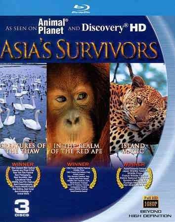 Asia's Survivors - (Region A Import Blu-ray Disc)