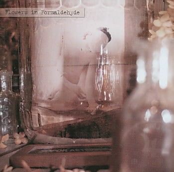 Like a Corpse Standing in Desperation - (Import CD)