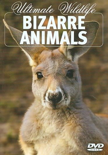 Bizarre Animals - (Region 1 Import DVD)