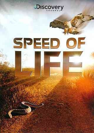 Speed of Life - (Region 1 Import DVD)