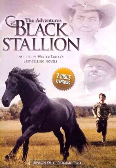 Adventures/Black Stallion:Ssn One V2 - (Region 1 Import DVD)
