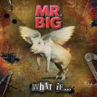 What if - (Import CD)