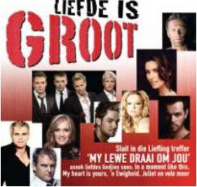 Liefde Is Groot - Various Artists (CD)