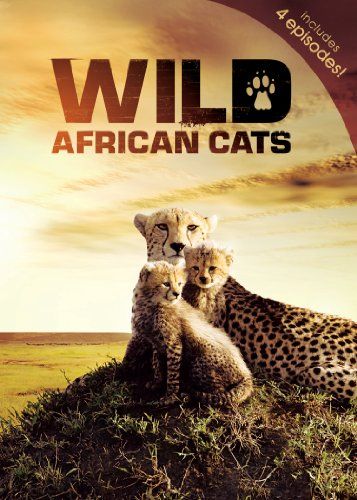 Wild African Cats - (Region 1 Import DVD)