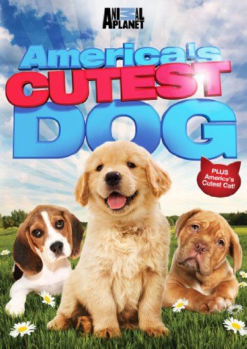 America's Cutest Dog - (Region 1 Import DVD)