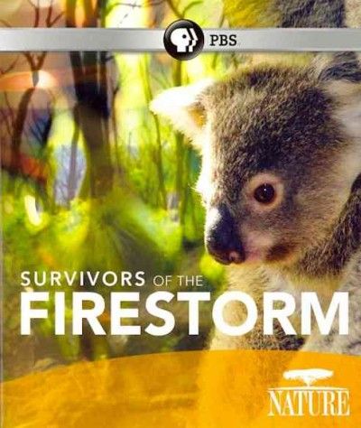 Nature:Survivors of the Firestorm - (Region A Import Blu-ray Disc)