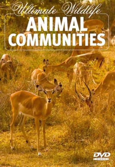 Ultimate Wildlife:Animal Communities - (Region 1 Import DVD)