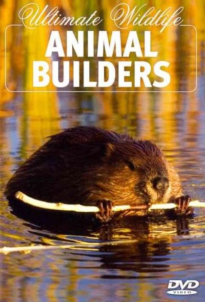 Ultimate Wildlife:Animal Builders - (Region 1 Import DVD)