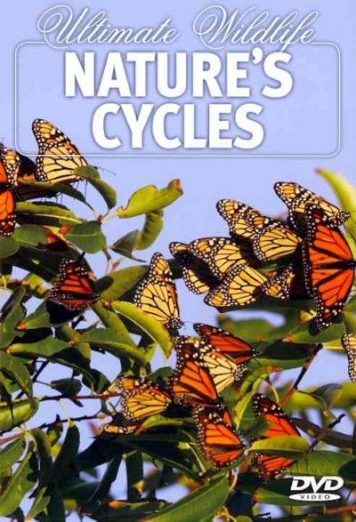 Ultimate Wildlife:Nature's Cycles - (Region 1 Import DVD)