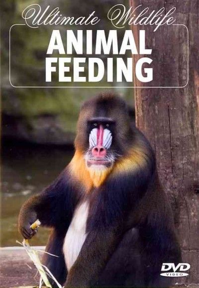 Ultimate Wildlife:Animal Feeding - (Region 1 Import DVD)