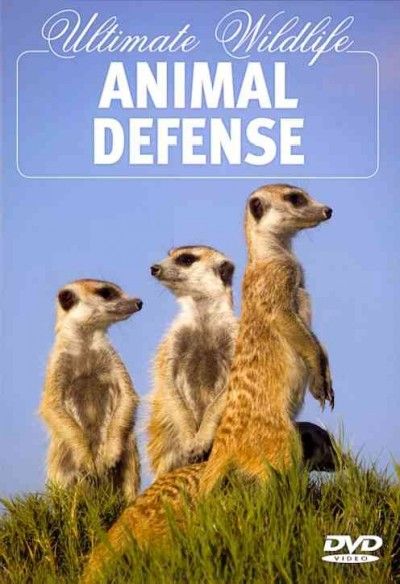 Ultimate Wildlife:Animal Defense - (Region 1 Import DVD)