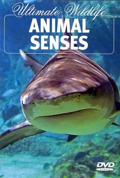 Ultimate Wildlife:Animal Senses - (Region 1 Import DVD)