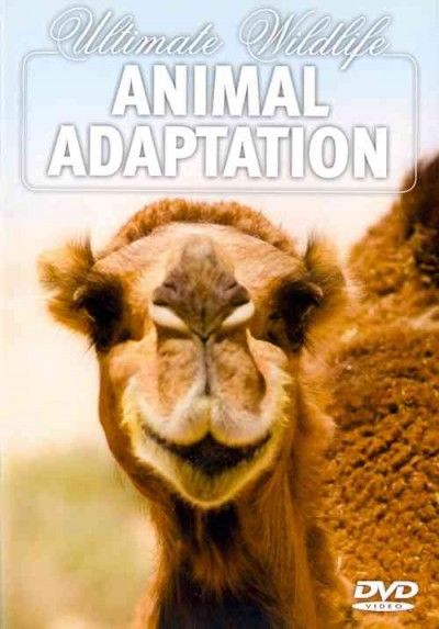 Ultimate Wildlife:Animal Adaptation - (Region 1 Import DVD)