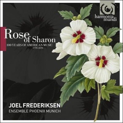 Rose of Sharon:100 Years of American - (Import CD)