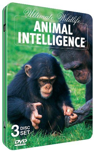 Animal Intelligence - (Region 1 Import DVD)
