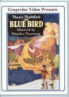 Blue Bird - (Region 1 Import DVD)