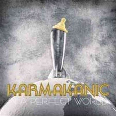 In a Perfect World - (Import CD)
