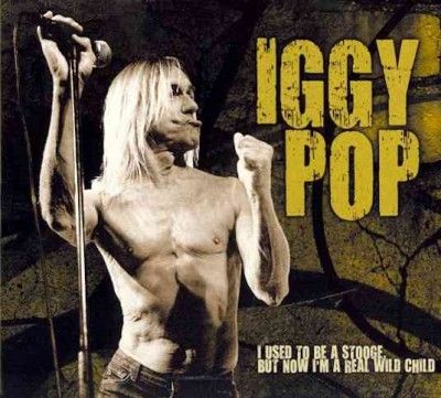 I Used to Be a Stoodge, But Now I'm a Real Wild Child (CD / Album)