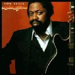 Son Seals - Chicago Fire (CD)