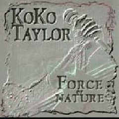 Force Of Nature (CD / Album)