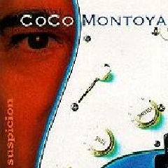 Suspicion (CD / Album)