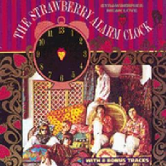 Strawberries Mean Love (CD / Album)