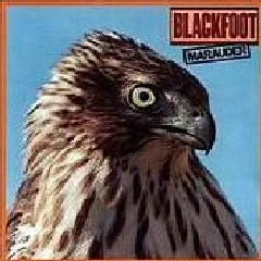 Marauder (CD / Album)