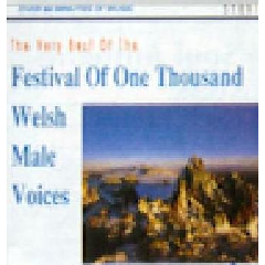 Very Best Of The Festival Of One Thousand Welsh Male Voices - Various Artists (CD)