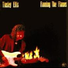 Tinsley Ellis - Fanning The Flames (CD)
