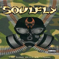 The Song Remains Insane (DVD)