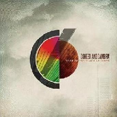 Year Of The Black Rainbow (CD)