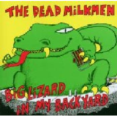 Big Lizard in My Backyard - (Import CD)
