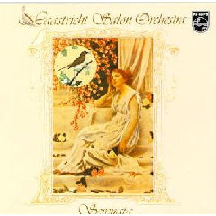 Maastricht Salon Orchestra - Serenata (CD)