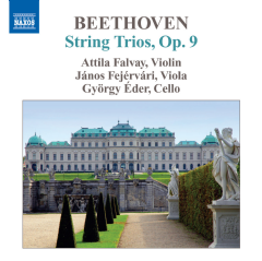 String Trios Opus 9 (CD)