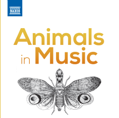 Cd / Album image