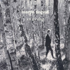 Tingvall Martin (solo) - En Ny Dag (A New Day) (CD)