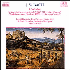 Coffee Cantata / Peasant Cantata (CD / Album)